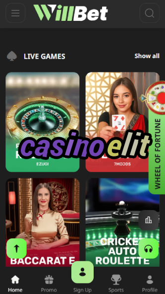 Casino Elit - Premium VIP Casino Club-www.bdqngd.com